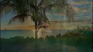 Gratitude Meditation, by Journey with Nikita