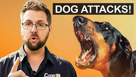 How to Avoid a DOG ATTACK! (3 Tips) - Safety Tip Saturday