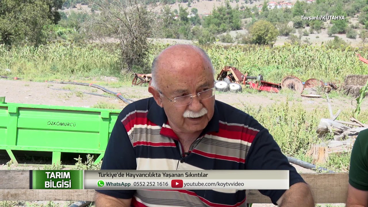 Tarım Bilgisi | Rıdvan Gökçe - TÜRKİYE'DE HAYVANCILIKTA YAŞANAN SIKINTILAR