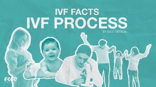 How does IVF work? | Esco Medical