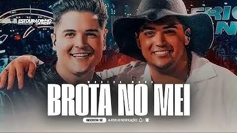 OH BROTA NO MEIO DA BAGUNÇA BROTA NO MEIO DA ZUADA - NATANZINHO LIMA E ERIC LAND