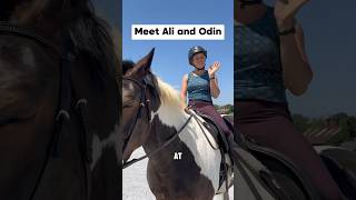 MEET ALI AND ODIN! #horseriding #horseshow