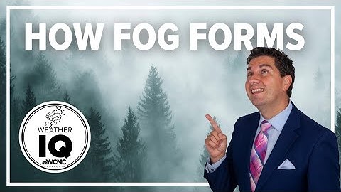 Weather IQ: How does fog form?
