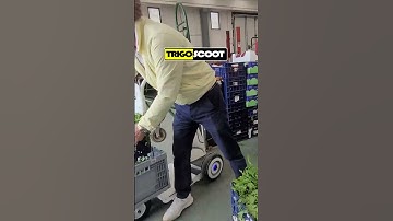 From Hoverboard to Scooter: Trigoscoot Transforms Business Efficiency!  💥MICROMOBILITY EXTREME💥