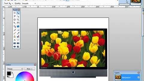 How to create a Paypal custom payment page