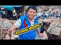 Rishi Dhamala &amp; Others Funniest Moments 🤣