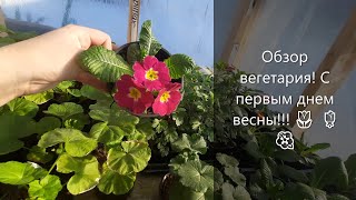 Обзор Вегетария! С первым днем весны!!!