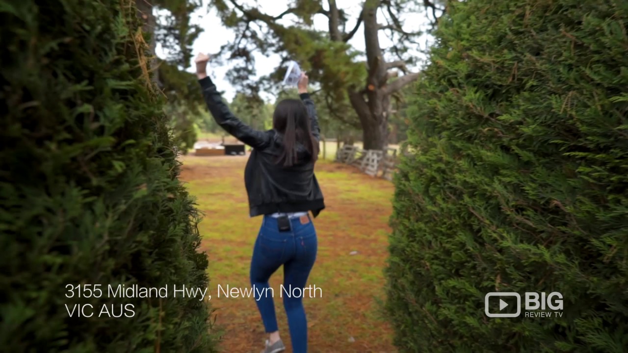 Maze House Cafe, Garden, Functions, and Accommodation in Melbourne VIC for Good Food and Maze Games