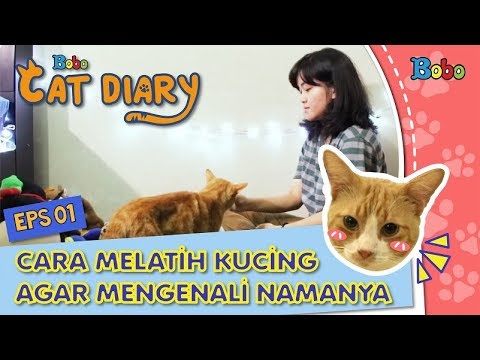 Video: Cara Memberi Nama Anak Kucing Jahe