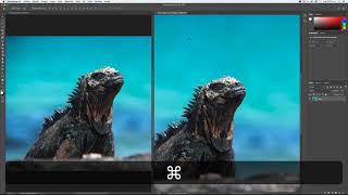 Escalar contenido en Photoshop - Aprender Photoshop en una Semana - Tutorial 13