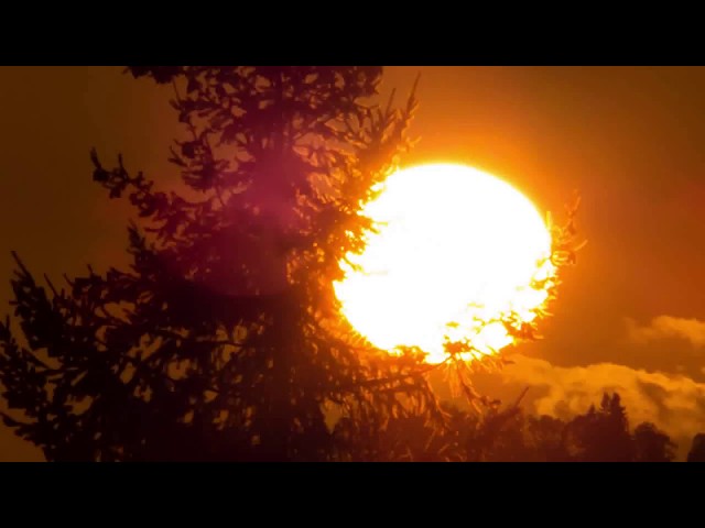 Marc Hartman - The Sun Goes Down