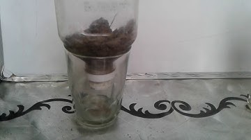 STD III Science Chapter 5 SOIL