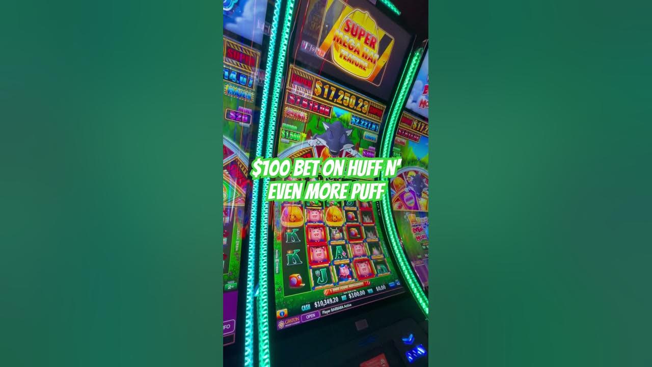 $100 BET ON WOLFIE 🐺 #casino #slots #wolfie #bigbet - YouTube