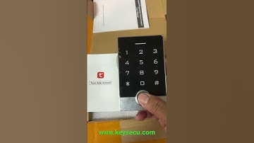 Tuya WiFi access controller #accesscontrol #accesscontrolsystem #zk #zkteco #tuya #smarthome