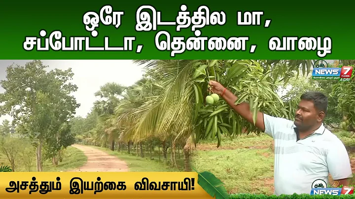 ஒரே இடத்தில் மா, சப்போட்டா, தென்னை, வாழை - அசத்தும் இயற்கை விவசாயி | Integrated Organic Farming