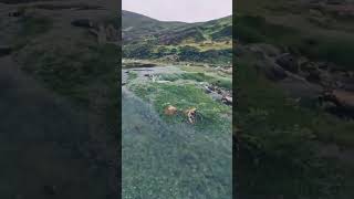Discovering a newly formed natural spring #shorts #shortvideo #viralhog