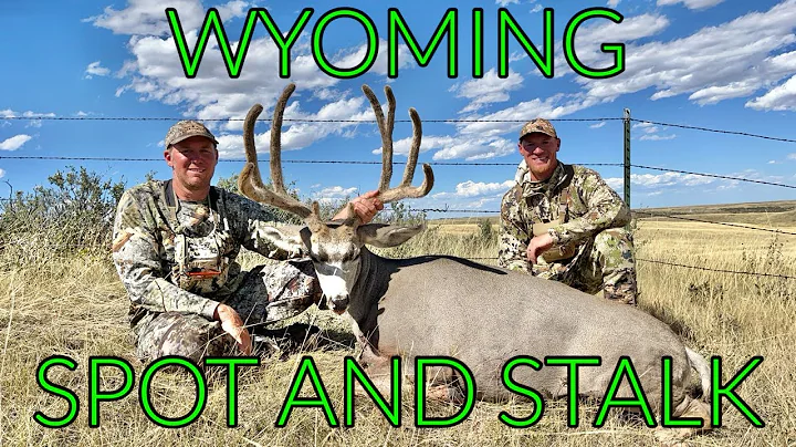 Bow Hunting Wyoming Mule Deer - Brett Glassman 2023