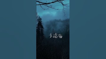 ✨ تلاوة خاشعة بصوت الشيخ محمد اللحيدان تهزّ القلوب 💖 #محمد_اللحيدان #تلاوة_خاشعة #قرآن_كريم  #كلمات