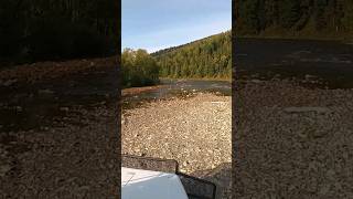 Газ 3308 Бельсу Кузбасс #андрейкараульщиков #shortsyoutube #газ3308 #shortsvideo