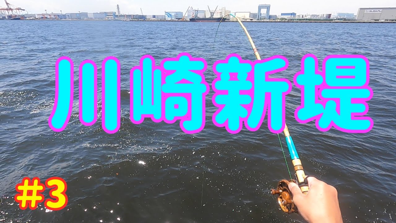 ヘチ釣り 和竿 中川作 2022.06.13 #和竿【中川作】を使って“川崎新堤”でヘチ釣り。 - YouTube