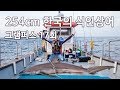 [2m54cm 상어를 낚시로?] 그램퍼스 17 Shark 254 - 그 두번째 이야기 상어낚시 [아구상어 국내최대어 254cm] 버티컬지깅