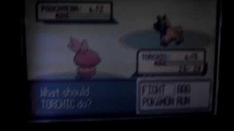 Shiny #2: Uncatchable Shiny Poochyena while SRing for Shiny Torchic