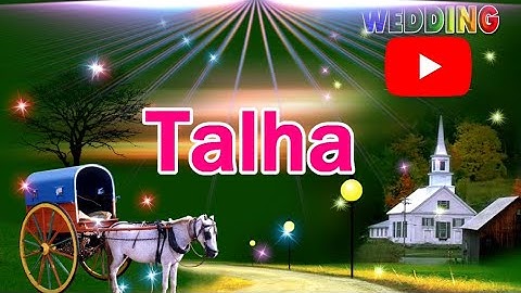 talha name whatsapp status video | talha name ka status