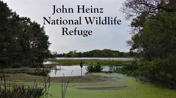 Just a Quick Hike ~ John Heinz National Wildlife R...