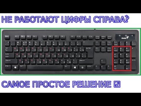 Не работают цифры на клавиатуре справа в компьютере, ноутбуке Узнайте, как включить цифры на клавиат