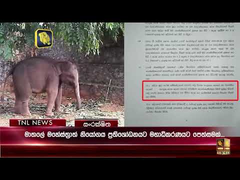 HC revision against the Matale MC  order to released illegal elephant to  the respondent