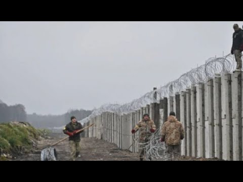Video: Çfarë është mbrojtja e kufirit?