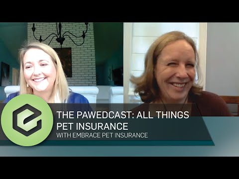 Vídeo: Por Dentro Do Seguro Saúde Para Animais De Estimação: Uma Entrevista Com O CEO Da Embrace Pet Insurance
