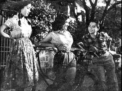 Nits -  Three Sisters