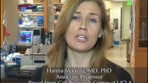 Developmental Cell Chhabra/Mikkola Video Abstract