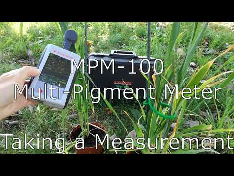 MPM-100 Multi-Pigment Meter