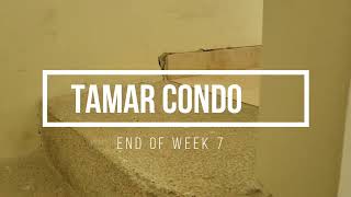 Tamar Condo Renovation Week 7 - Cabo San Lucas