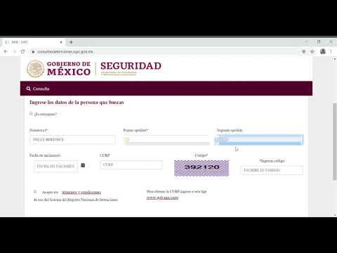 Registro Nacional de Detenciones