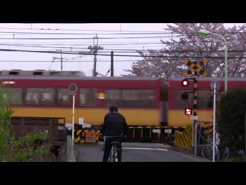 【鉄道PV】 春春春～箱なき子追いかけ隊