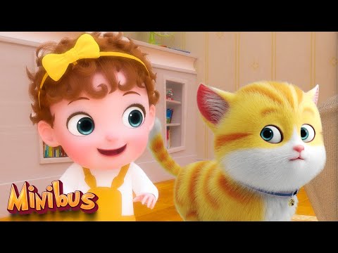 Baby Cat Song + more Kids Songs & Nursery Rhymes