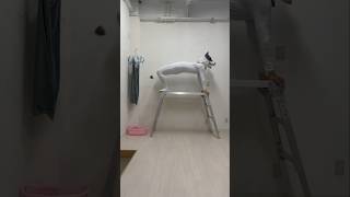 【Dog bringing in the laundry】#dog #challenge #funny