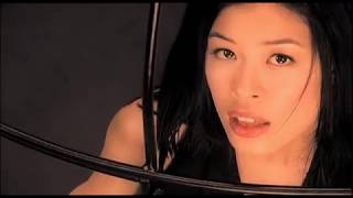 Video-Miniaturansicht von „Vanessa-Mae - White Bird (Official Video)“