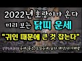 "미리 보는 2022년 닭띠 운세~귀인 때문에 큰 것 잡는다"