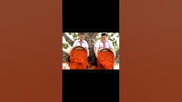 Capybara bị Trọc và Béo đổ bột ớt và cái kết❤️ #capybara #capyvatroc #capybotot