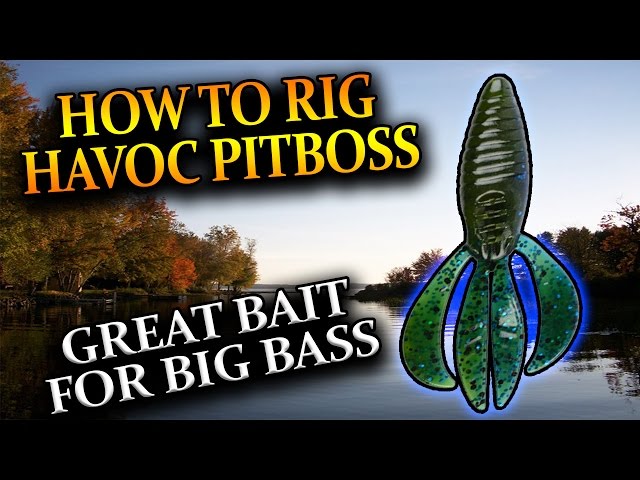 HOW TO RIG A BERKLEY HAVOC PITBOSS HOW TO FISH A BERKLEY HAVOC PITBOSS GOOD BAIT  FOR BIG BASS! 