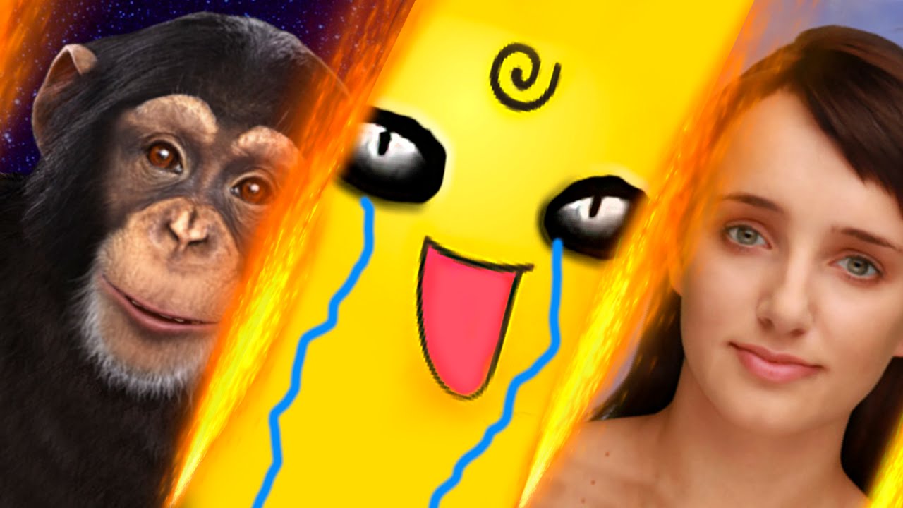 SIMSIMI VS EVIEBOT VS CHIMBOT | ANDYNSANE - YouTube