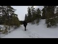 Пешая прогулка по лесу
