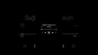 Sağlam Ödeşiyorum