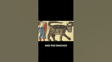 How a HIPPO became the Tarrasque (2/2)