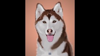 DOG - Vector PORTRAIT using PHOTOSHOP (Timelapse)