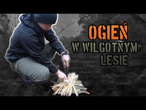 Wideo: Jakie elementy rozpalają ogień?